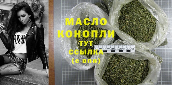 гашик Арсеньев