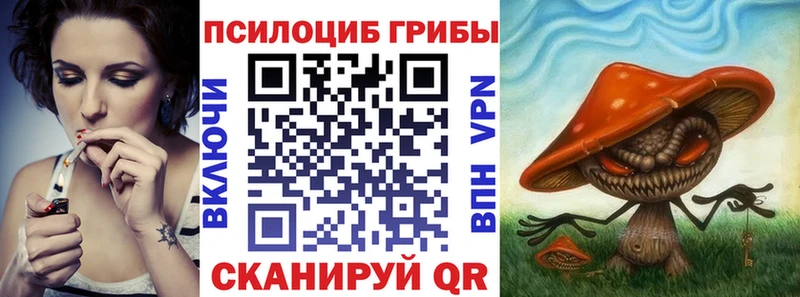kraken   купить наркотик  Сунжа  Псилоцибиновые грибы Cubensis 